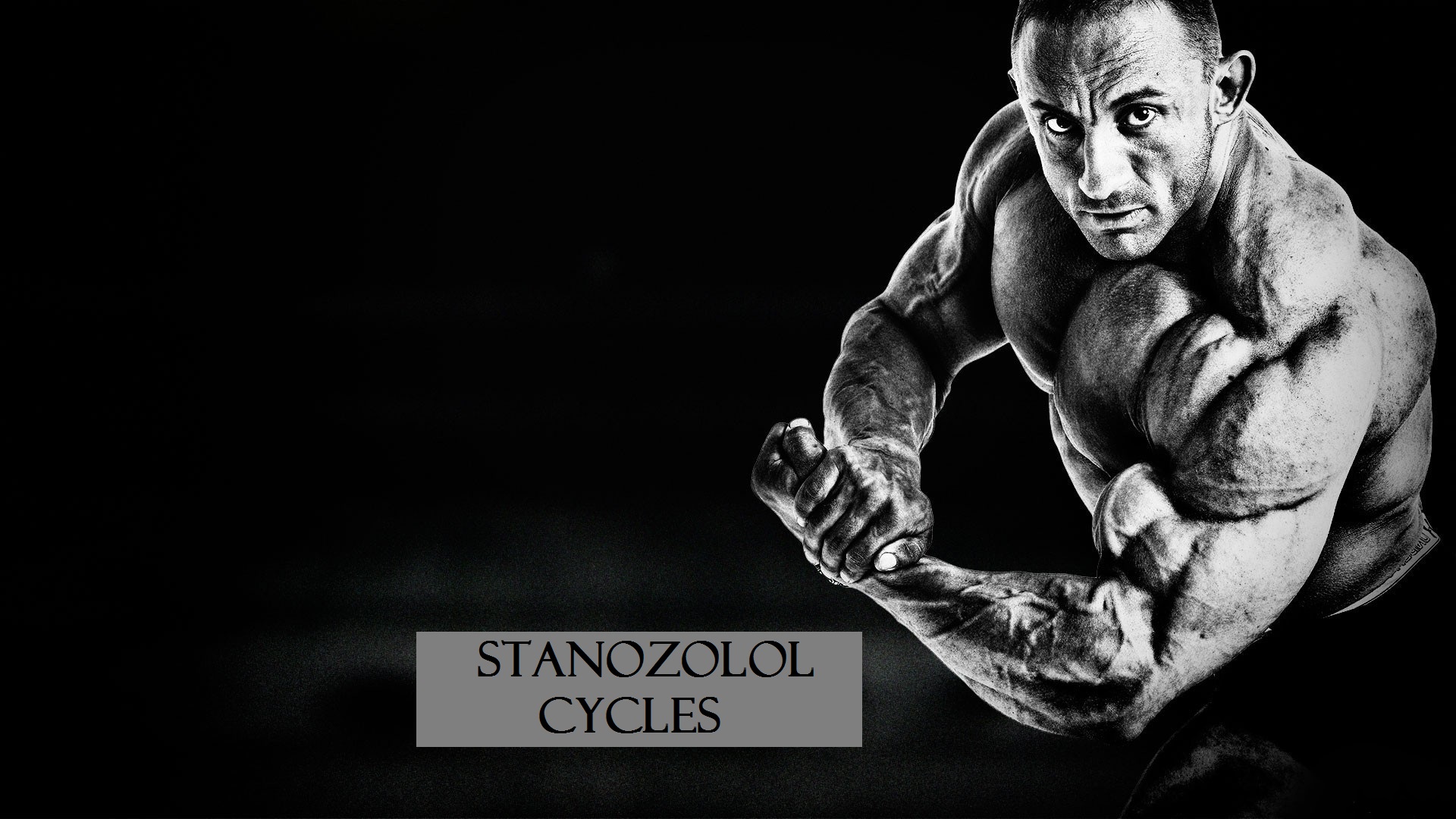 stanozolol-cycles
