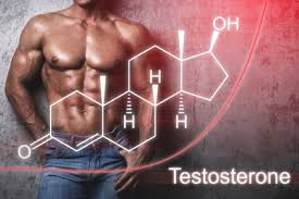 testosterone-for-bodybuilding