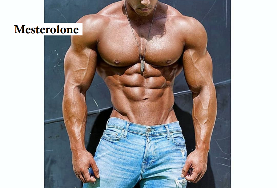 mesterolone-muscles-body