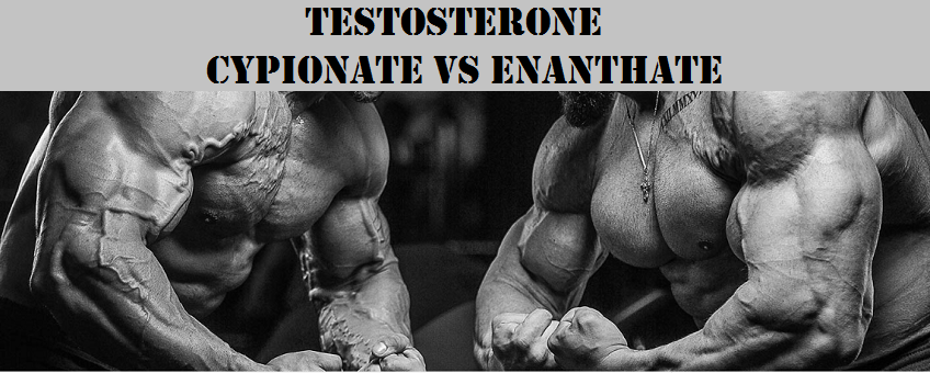Testosterone-Cypionate-vs-Enanthate