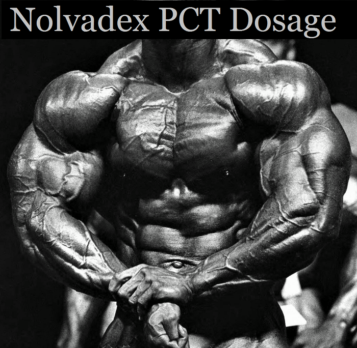 Nolvadex-PCT-Dosage