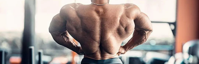 dianabol-methandienone-muscular-back