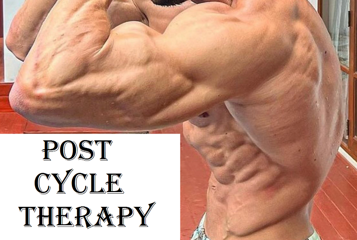 Post-Cycle-Therapy-PCT-Protocol-Big-Muscles