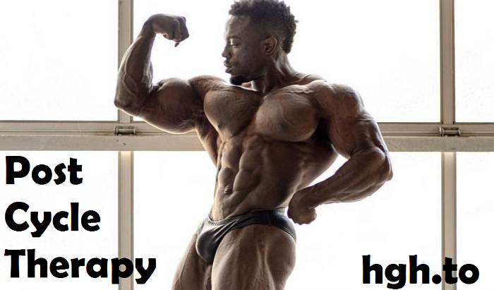 post-cycle-therapy-hgh