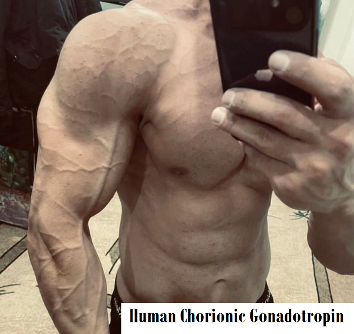 Human-Chorionic-Gonadotropin-hcg-hgh
