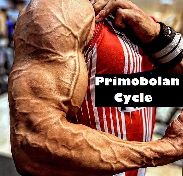primobolan-cycle-hgh
