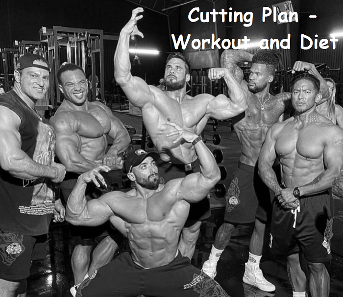Cutting Plan Workout and Diet hgh