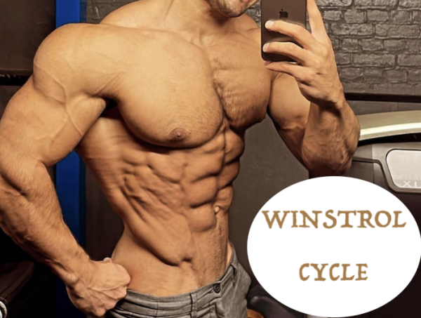 What Is Winstrol Used For In Bodybuilding Stanozolol in Bodybuilding | How To Use Winstrol | HGH