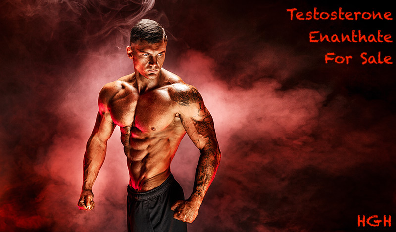 testosterone-enanthate-for-sale-hgh