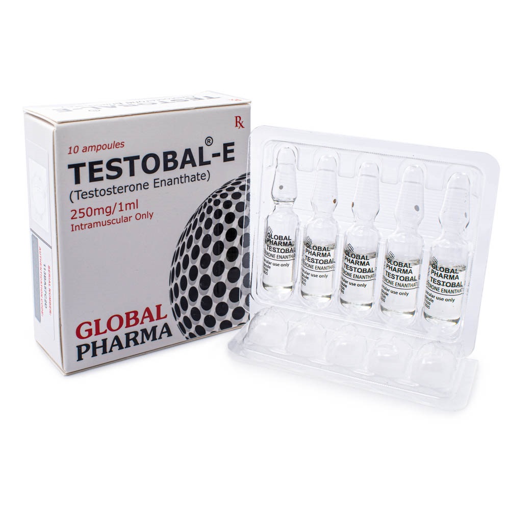 Testobal-E