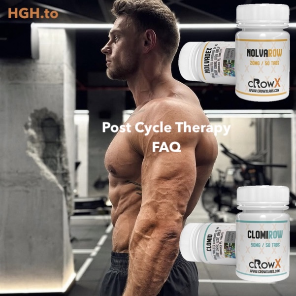 post cycle therapy faq hgh