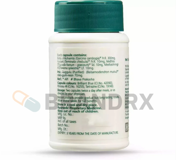 AyurSlim 400 mg - Image 2