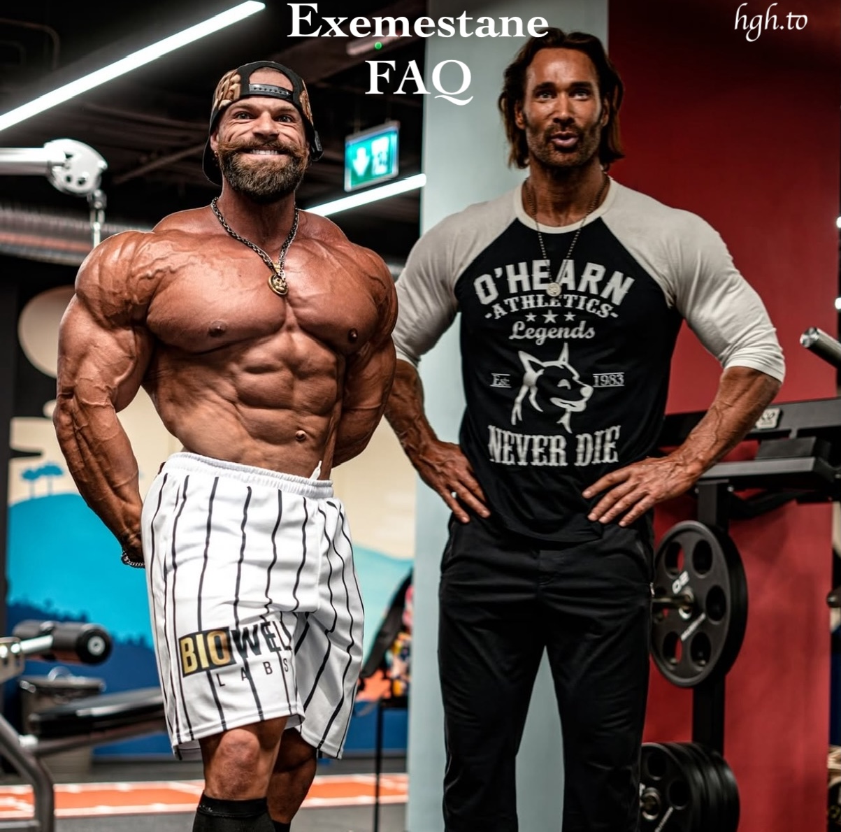 exemestane faq hgh